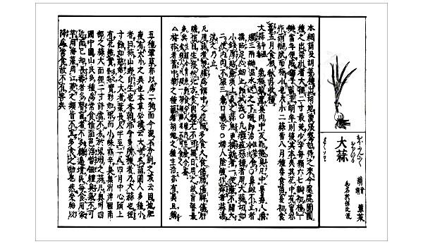 本草和名